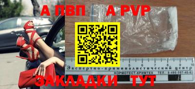 ECSTASY Новозыбков