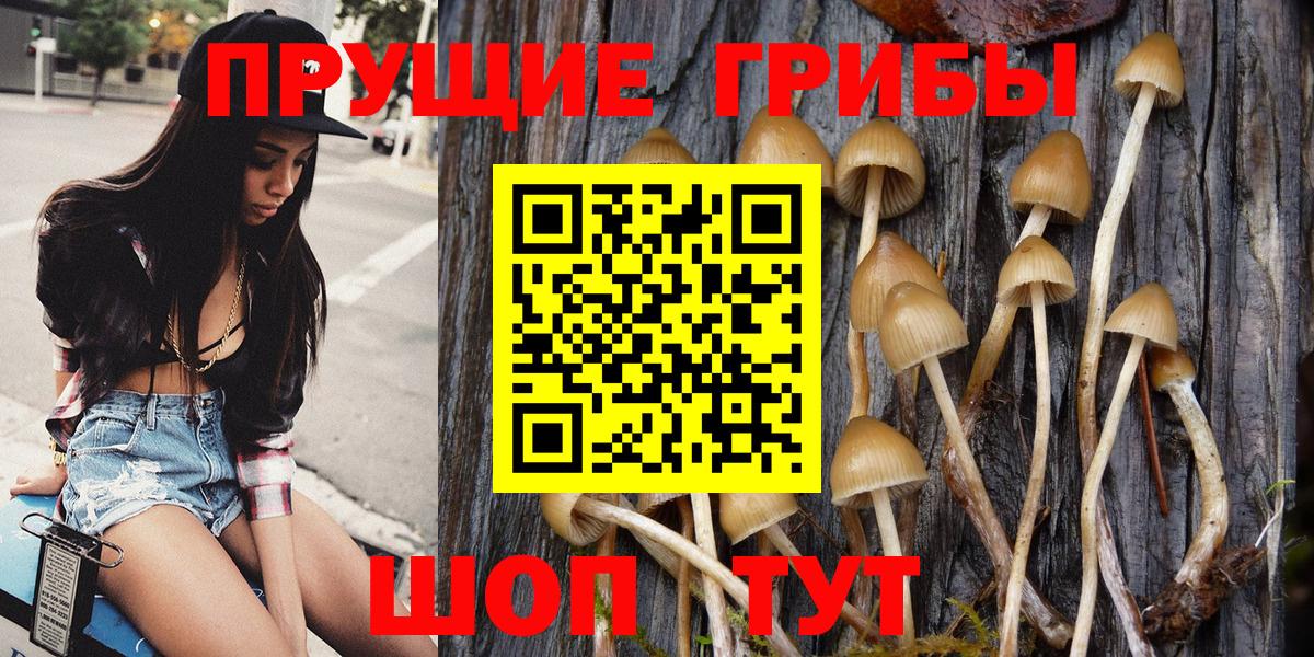 Светлоград  Псилоцибиновые грибы Psilocybe  Вход с VPN  Псилоцибиновые грибы Magic Shrooms 