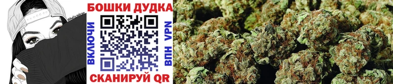 купить наркоту  Светлоград  Конопля гибрид 